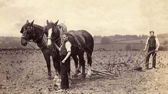 The Standon boys were trained in all aspects of farm work, and they had over 50 acres of land to cultivate. Experience in manual skills was helpful for the boys in their future careers.